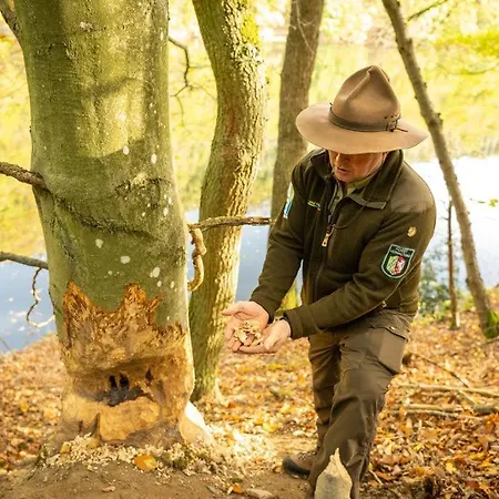 Appartement Haus Sonnentau *