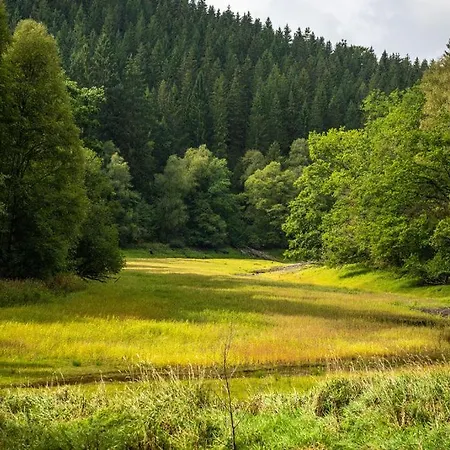 Appartement Haus Sonnentau