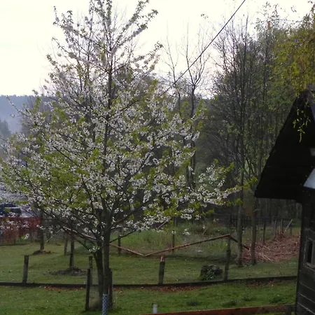 Haus Sonnentau Appartement Monschau