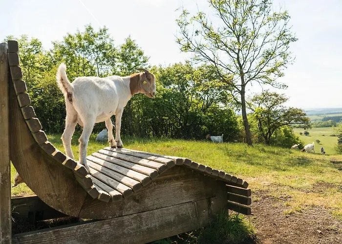 Haus Sonnentau * 蒙绍