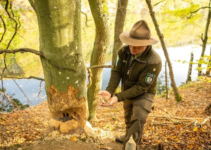 公寓 Haus Sonnentau *