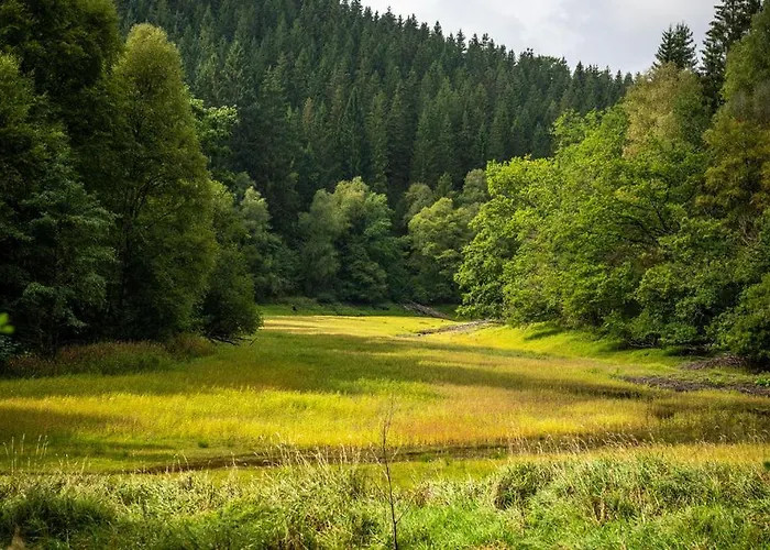 Appartement Haus Sonnentau