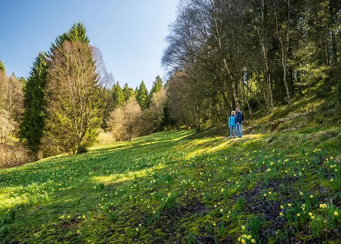 Haus Sonnentau 公寓 蒙绍