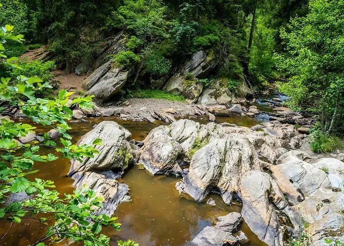 Haus Sonnentau Appartement *