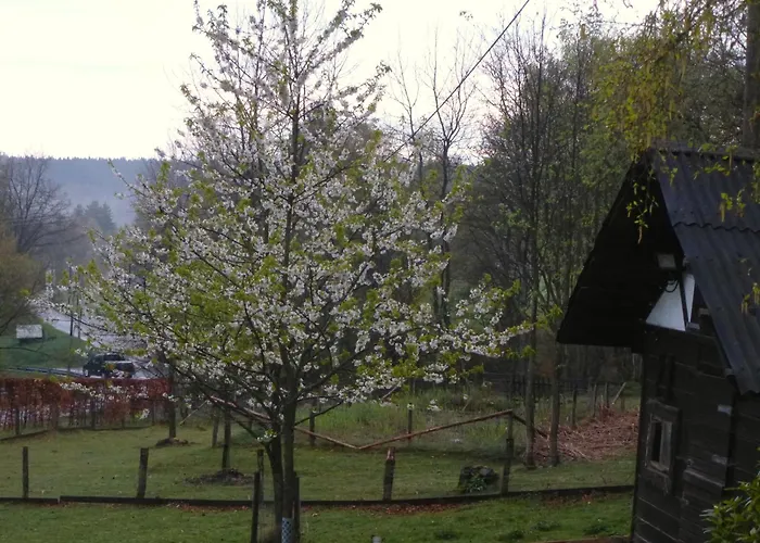 Haus Sonnentau Appartement Monschau